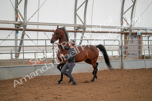 July 19, 2019 - 1171