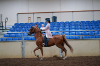 2019 Morgan Horse Show - Aug 30, 2019 - 21396