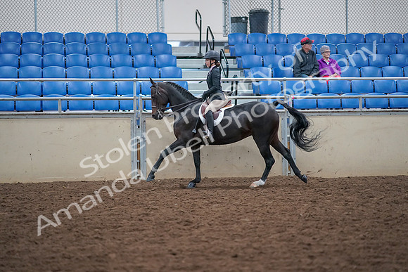 2019 Morgan Horse Show - Aug 30, 2019 - 20643