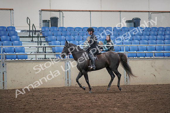 2019 Morgan Horse Show - Aug 31, 2019 - 07363