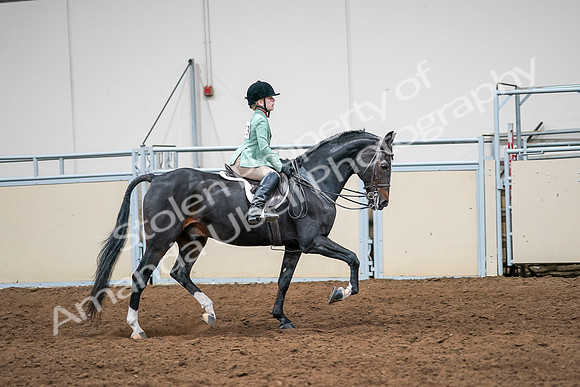 2020 - AB Morgan Horse - Sun, Sept 06 - 08061
