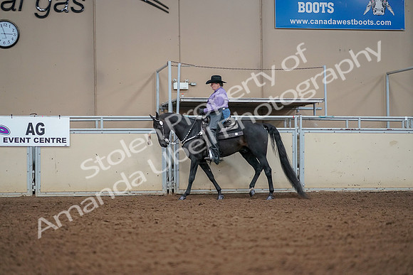 2019 Morgan Horse Show - Aug 30, 2019 - 16820