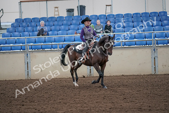 2019 Morgan Horse Show - Aug 31, 2019 - 10782