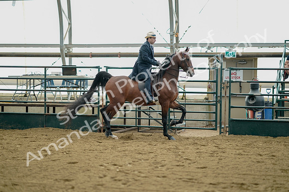 July 21, 2019 - 01724