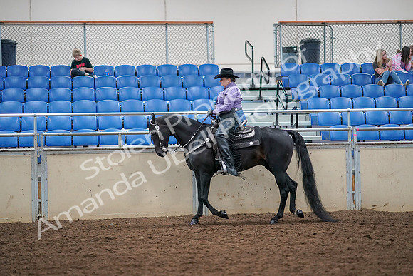 2019 Morgan Horse Show - Aug 30, 2019 - 16746