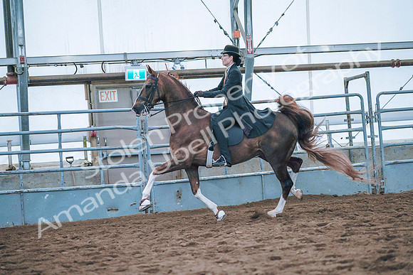 July 20, 2019 - 24151