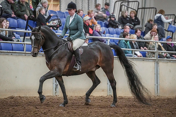 Spring Fling - Saturday - April 20, 2019  -  03774