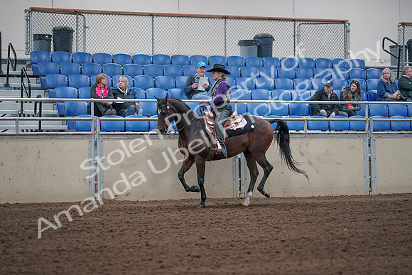 2019 Morgan Horse Show - Aug 31, 2019 - 10632