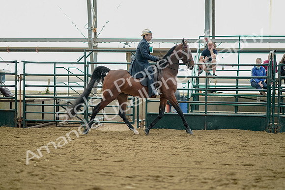 July 21, 2019 - 01733