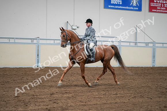 2020 - AB Morgan Horse - Sat, Sept 05 - 03282