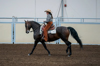 2020 - AB Morgan Horse - Fri, Sept 04 - 00409