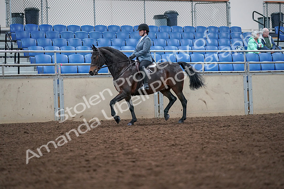 2019 Morgan Horse Show - Aug 30, 2019 - 18320