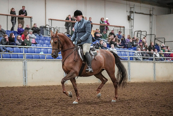 Spring Fling - Saturday - April 20, 2019  -  04539