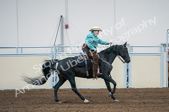 2020 - AB Morgan Horse - Fri, Sept 04 - 00493