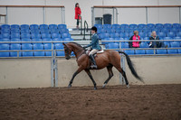 2019 Morgan Horse Show - Aug 31, 2019 - 17125
