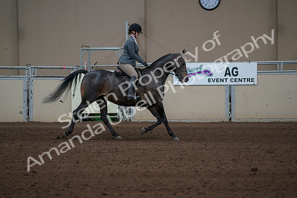 2019 Morgan Horse Show - Sept 01, 2019 - 11054