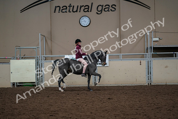 2019 Morgan Horse Show - Aug 30, 2019 - 31436