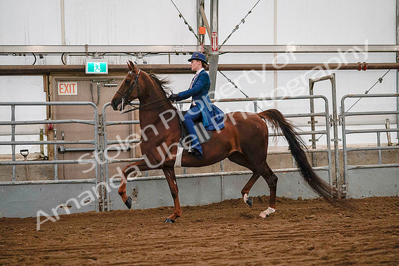 July 19, 2019 - 8685