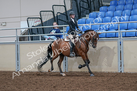 2020 - AB Morgan Horse - Fri, Sept 04 - 06104