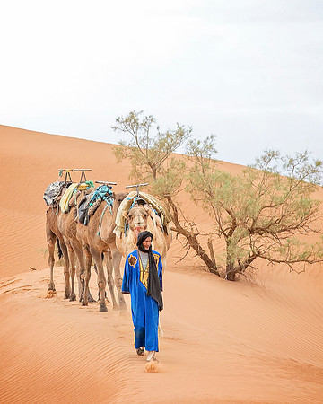 Morocco - 111