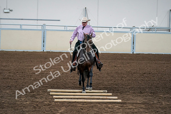 2020 - AB Morgan Horse - Fri, Sept 04 - 00575