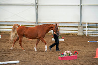 2020 - Region 17 - Thurs, Sept 10 - 03933