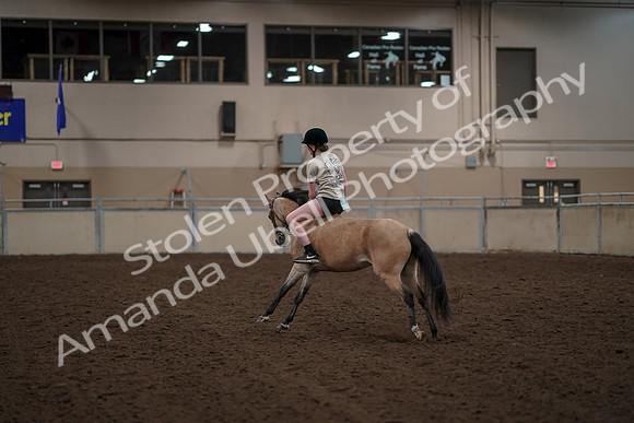 2019 Morgan Horse Show - Aug 30, 2019 - 31261