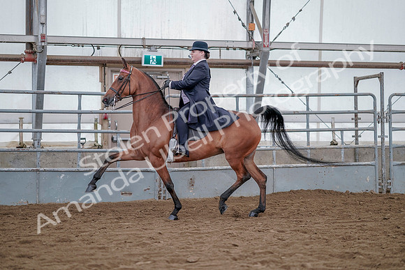 July 20, 2019 - 13911