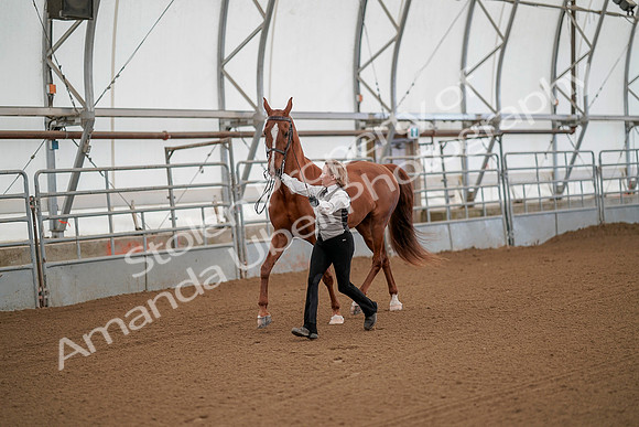 July 19, 2019 - 60