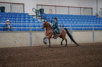2019 Morgan Horse Show - Sept 01, 2019 - 13155
