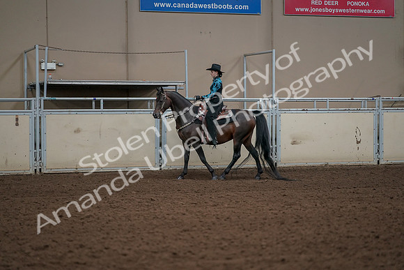 2019 Morgan Horse Show - Aug 30, 2019 - 26118
