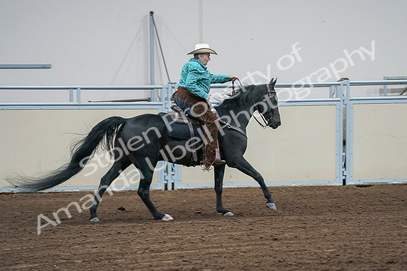 2020 - AB Morgan Horse - Fri, Sept 04 - 00496