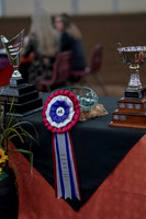 2019 Morgan Horse Show - Sept 01, 2019 - 00005