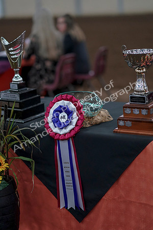 2019 Morgan Horse Show - Sept 01, 2019 - 00005