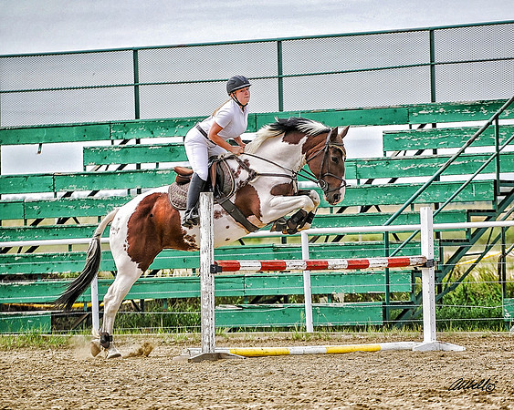 AMHYC - 3248