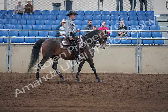 2019 Morgan Horse Show - Sept 01, 2019 - 07080
