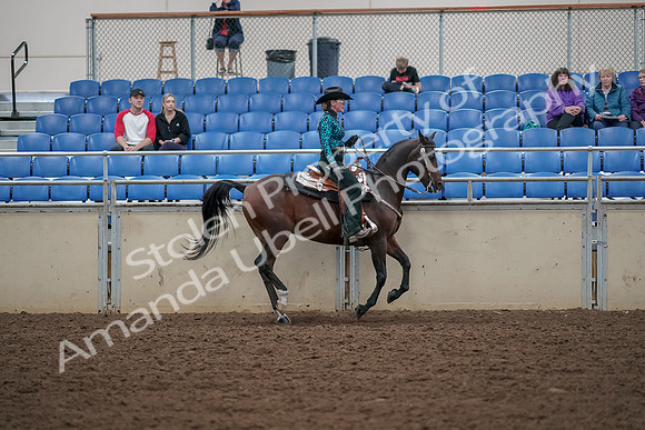 2019 Morgan Horse Show - Aug 30, 2019 - 26183