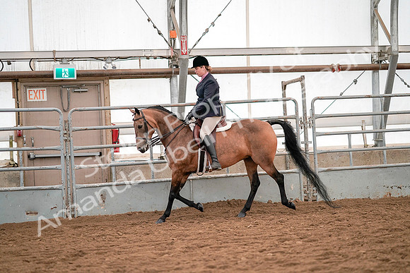 July 19, 2019 - 11203