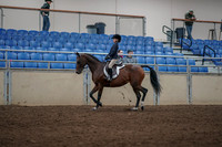 2019 Morgan Horse Show - Aug 31, 2019 - 05556