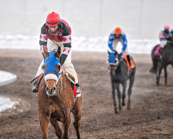Aly - 4141