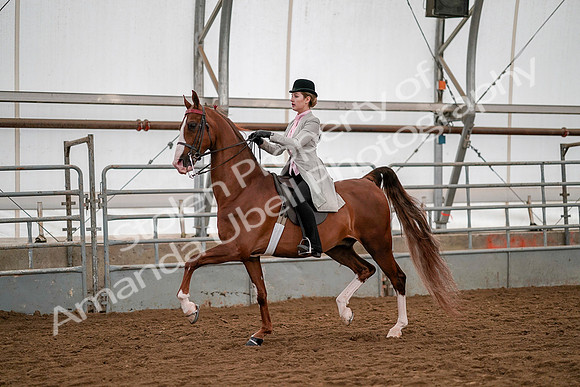 July 19, 2019 - 10425