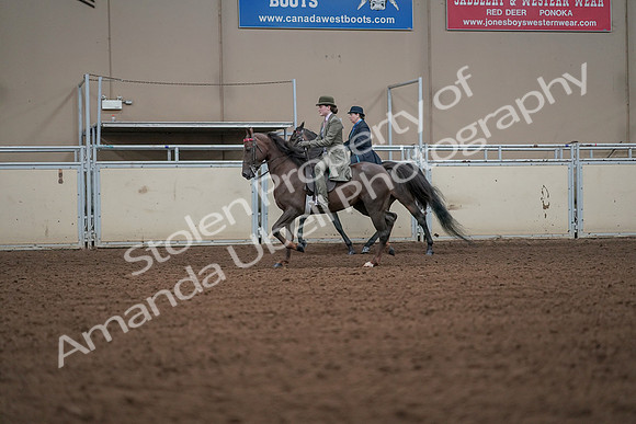 2019 Morgan Horse Show - Aug 30, 2019 - 15474