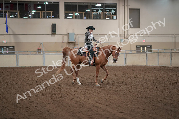 2019 Morgan Horse Show - Aug 30, 2019 - 26210