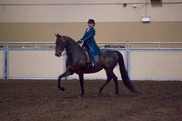 Class 173 - All Breeds Walk-Trot English Pleasure, 11 & Under, Stake