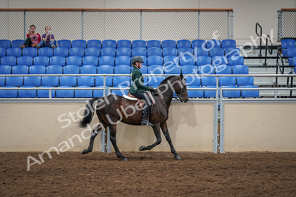 2020 - AB Morgan Horse - Sat, Sept 05 - 05061