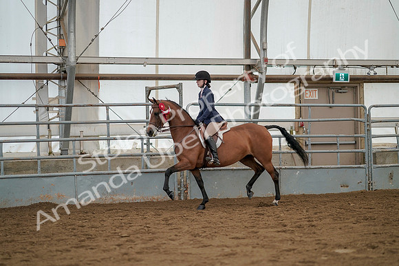 July 20, 2019 - 03502