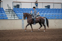 2019 Morgan Horse Show - Sept 01, 2019 - 06231