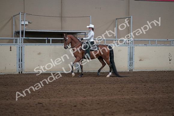 2019 Morgan Horse Show - Sept 01, 2019 - 06930