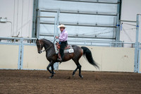 2020 - AB Morgan Horse - Fri, Sept 04 - 00538