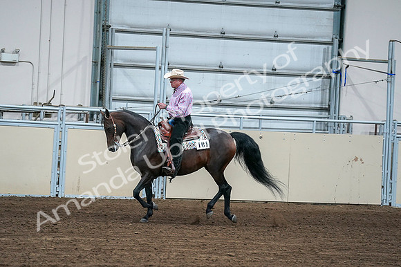 2020 - AB Morgan Horse - Fri, Sept 04 - 00538